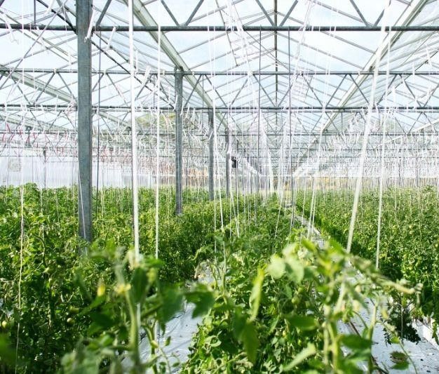 Afacere de vânzare, la cheie, în domeniul agricol